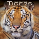 Tigers Calendar 2017 - Book