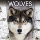 Wolves Calendar 2017 - Book