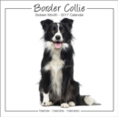 Border Collie Studio Calendar 2017 - Book