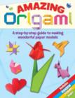 Amazing Origami : A Step-by-step Guide to Making Wonderful Paper Models - Book