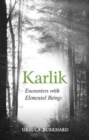 Karlik : Encounters with Elemental Beings - Book