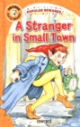 A Stranger in Small Town - Book