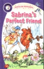 Sabrina's Perfect Friend - Book