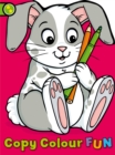 Copy Colour Fun: Rabbit - Book