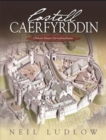 Castell Caerfyrddin : Olrhain Hanes Llywodraethiant - Book