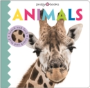 Touch & Feel Friends Animals - Book