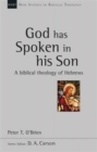 God Has Spoken in His Son : A Biblical Theology of Hebrews - Book