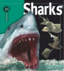 Insiders - Sharks - Book