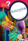 Cyfres Wyt Ti'n Gwybod?: Amryliw - Book