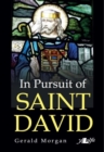In Pursuit of Saint David - Book