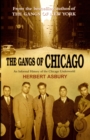 The Gangs Of Chicago - Book