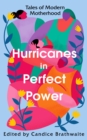 Hurricanes in Perfect Power : Tales of Modern Motherhood - Book