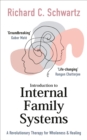 Introduction to Internal Family Systems : A Revolutionary Therapy for Wholeness & Healing - Book