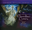 Trysorfa Chwedlau Cymru - eBook
