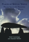 Places of Special Virtue : Megaliths in the Neolithic landscapes of Wales - eBook