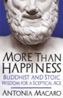 More Than Happiness : Buddhist and Stoic Wisdom for a Sceptical Age - Book