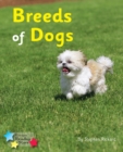 Breeds of Dogs : Phonics Phase 4 - eBook