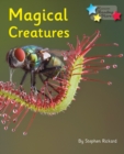 Magical Creatures : Phonics Phase 5 - eBook