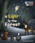 A Light in the Forest - eBook