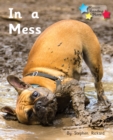 In a Mess : Phonics Phase 2 - Book