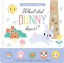 What Did Bunny Hear? - Book
