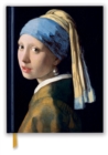 Johannes Vermeer: Girl With a Pearl Earring (Blank Sketch Book) - Book