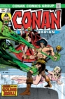 Conan The Barbarian: The Original Comics Omnibus Vol.2 - Book