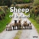 Sheep of Ireland - Book