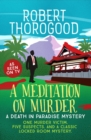 A Meditation on Murder - eBook