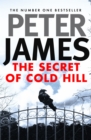 The Secret of Cold Hill - eBook