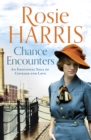 Chance Encounters : An emotional saga of courage and love - eBook