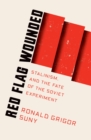 Red Flag Wounded : Stalinism and the Fate of the Soviet Experiment - eBook