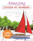 Amazing Colour-by-Numbers Large Print - Book