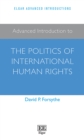 Advanced Introduction to the Politics of International Human Rights - eBook
