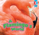A Flamingo's World - eBook