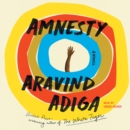 Amnesty : A Novel - eAudiobook