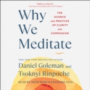 Why We Meditate : The Science and Practice of Clarity and Compassion - eAudiobook