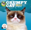 Grumpy Cat 2025 Wall Calendar - Book