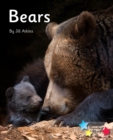 Bears : Phonics Phase 5 - eBook