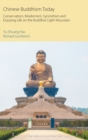 Chinese Buddhism Today : Conservatism, Modernism, Syncretism and Enjoying Life on the Buddha's Light Mountain - Book