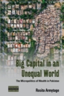 Big Capital in an Unequal World : The Micropolitics of Wealth in Pakistan - Book