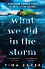 What We Did In The Storm - Book