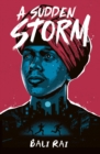 A Sudden Storm - Book