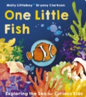 One Little Fish - Book