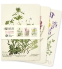 Royal Botanic Garden Edinburgh Set of 3 Midi Notebooks - Book