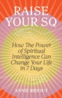 Raise Your SQ : Transform Your Life with Spiritual Intelligence - eBook