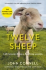 Twelve Sheep - eBook