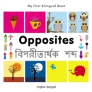 My First Bilingual Book-Opposites (English-Bengali) - eBook