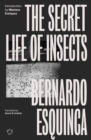 The Secret Life of Insects - Book
