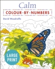 Calm Large Print Colour by Numbers - Book